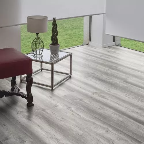 D 3676 Kunsterspringer Kiefer