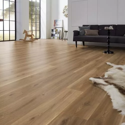 D 4689 Дуб Сьерра золото