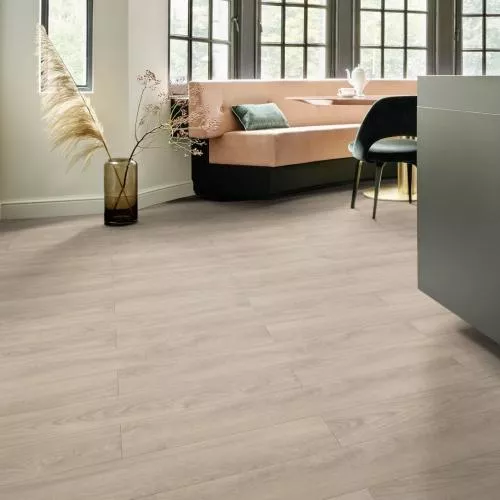 D 80882 Каштан Солсбери