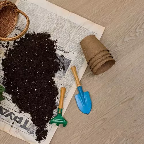 D 80922 Дуб Бельведер