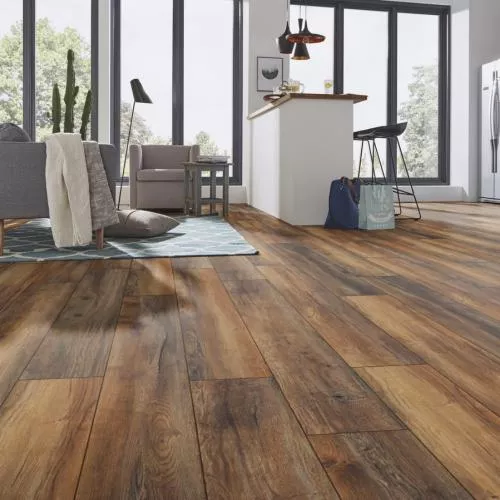 D 3570 Дуб портовый