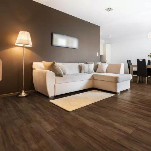 D 3664 Дуб Монтмело Тоффи