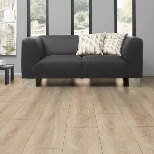 D 4164 Дуб деревенский