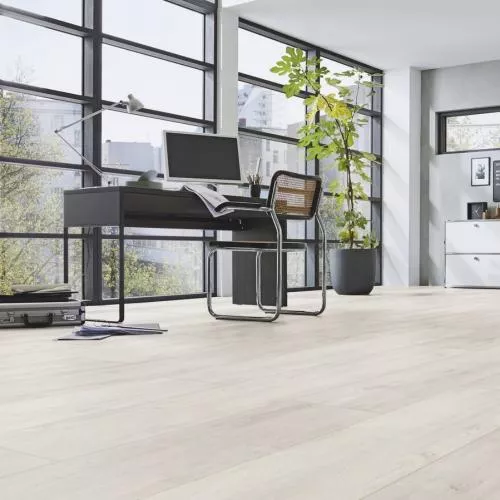 D 4984 Дуб восточный белый