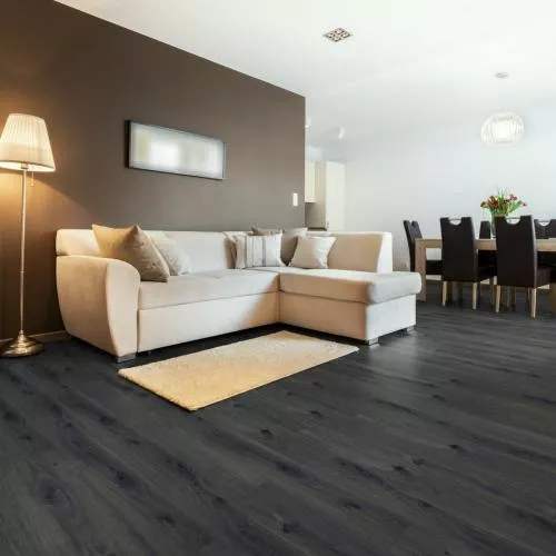 D 3663 Дуб Монтмело Лава