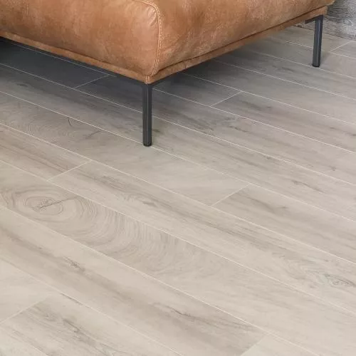 D 3673 Дуб Бергамо