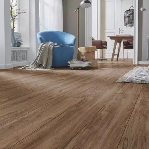 D 4709 Орех Таррагона