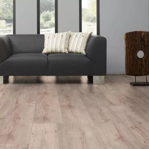 D 4721 Дуб Тотали