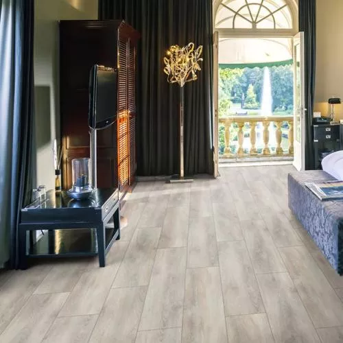 D 4729 Дуб Серый