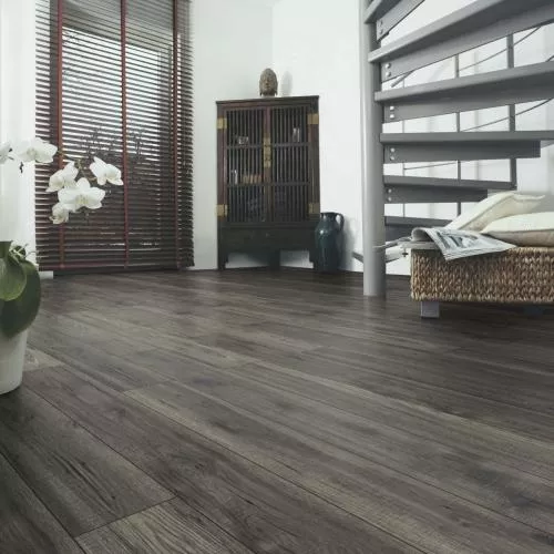 D 4785 Дуб Гала Титан