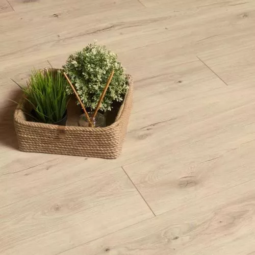 D 81112 Дуб Абсолют Натуральный