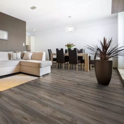 D 6006 Клён Каньон тёмный