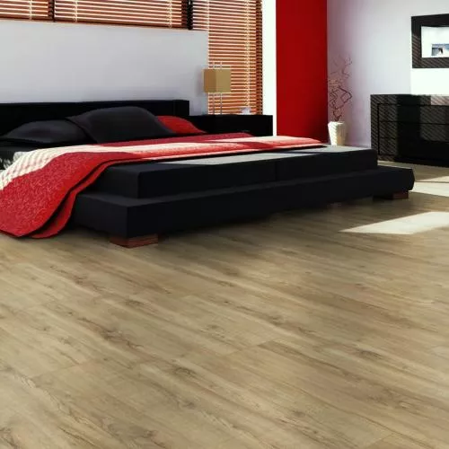 D 6009 Дуб Эльба природный