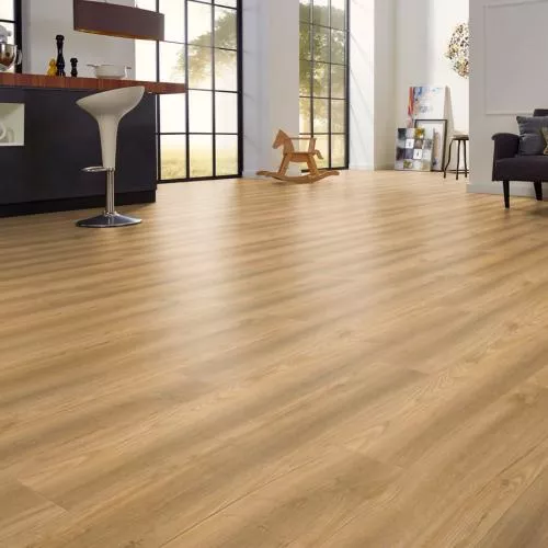 D 80052 Дуб Аризона