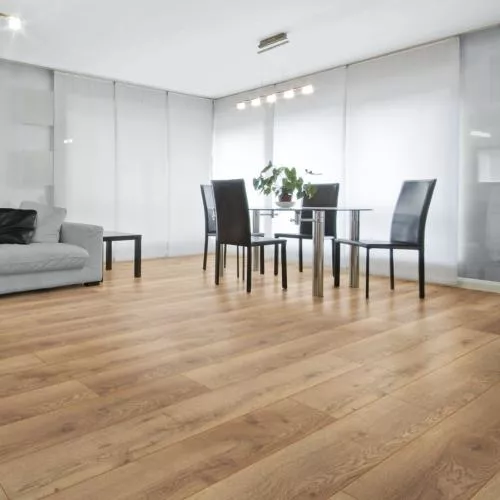 D 4725 Дуб горный природный