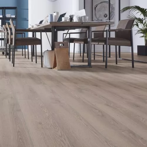 D 4727 Дуб горный серый