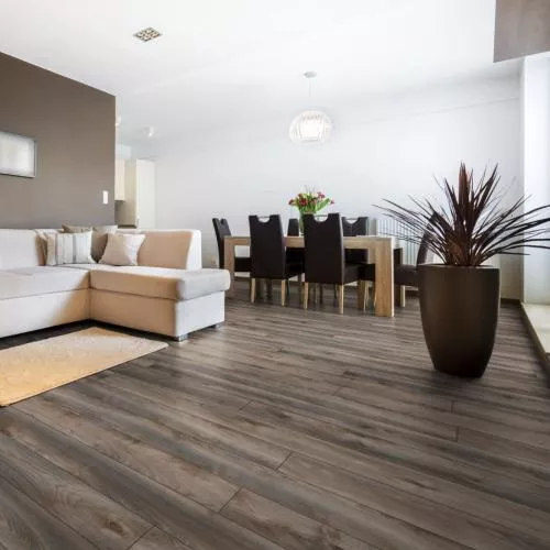 D 4792 Дуб серый Макро