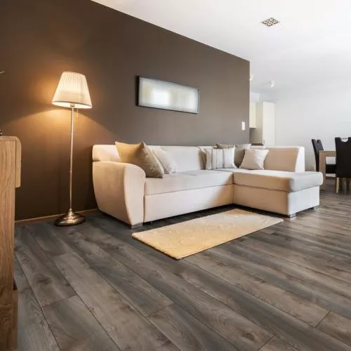 D 4792 Дуб серый Макро