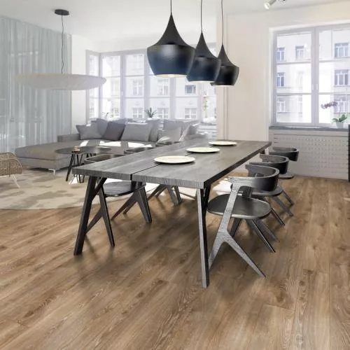 D 4795 Дуб горный бронзовый