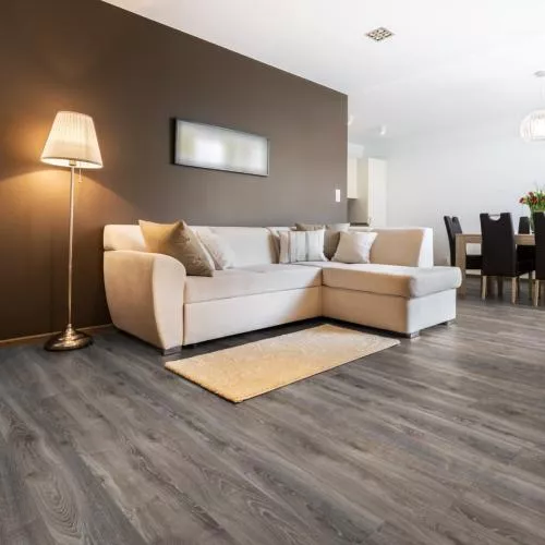 D 4796 Дуб горный Титан