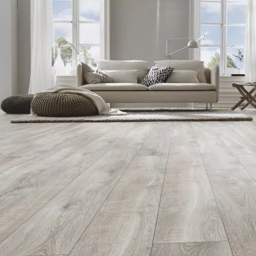 D 4797 Дуб горный серебристый