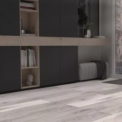 D 4738 Дуб Северный