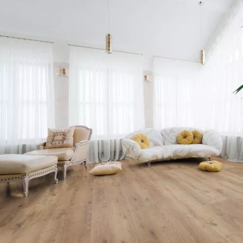 D 3668 Дуб неброский