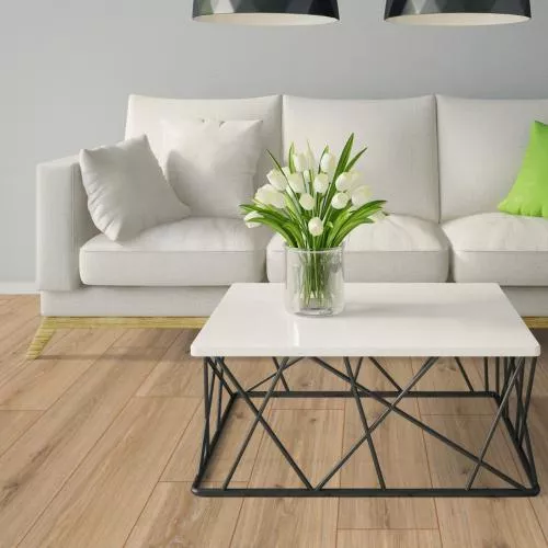 D 3073 Дуб Фалсбург