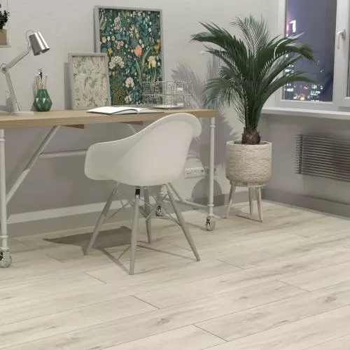 D 4684 Дуб Арагон