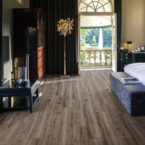 D 6006 Клен Каньон темный