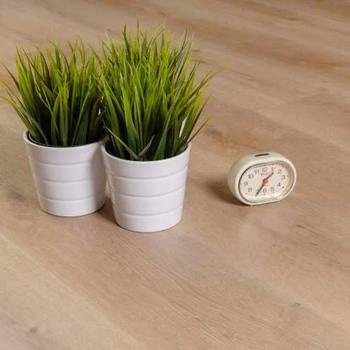 D 80892 Каштан Солсбери Темный