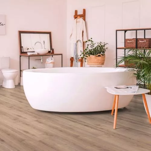 3052 Дуб Фиджи