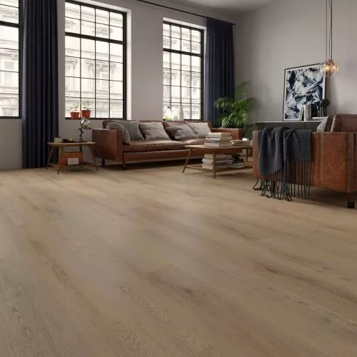 3053 Дуб Тонга