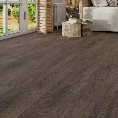 LM19 Дуб Тиволи