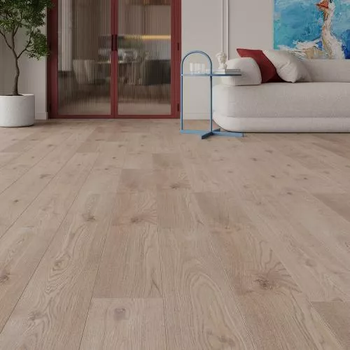 LM31 Дуб Бари