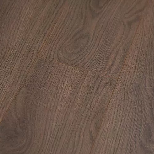  Дуб Царский