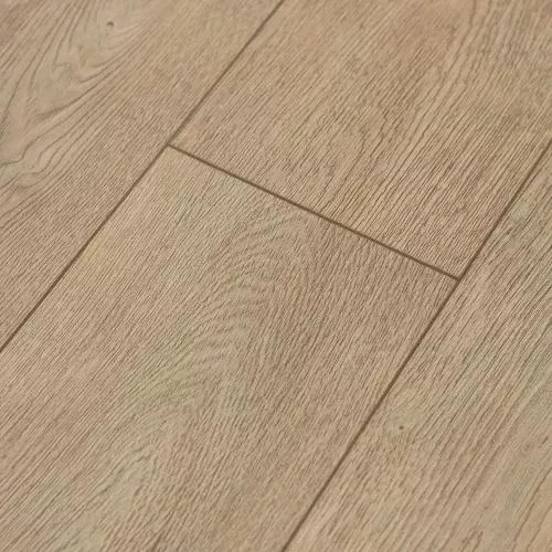  Сосна Европейская