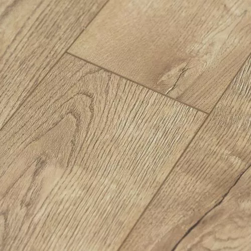  Сосна Княжеская