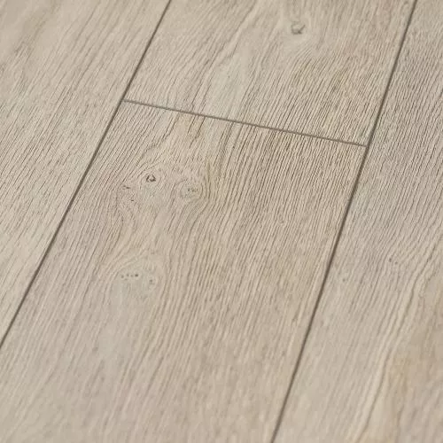  Сосна Русская