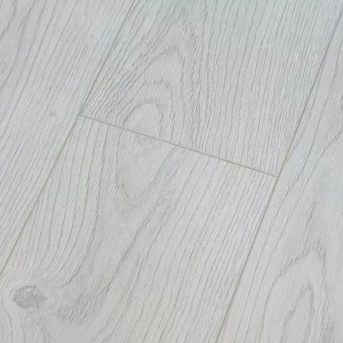  Сосна Снежная