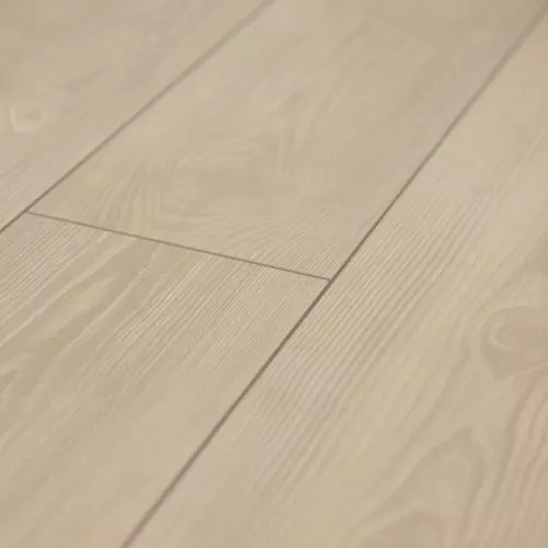  Дуб Дымчатый