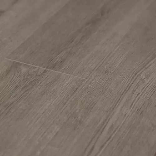  Дуб Пепельный