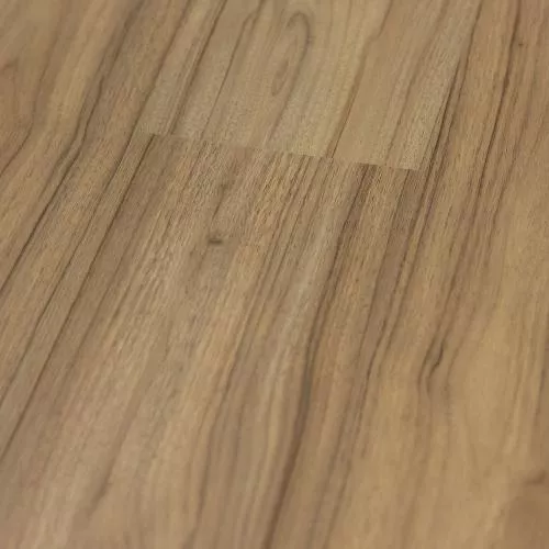  Ясень Донской