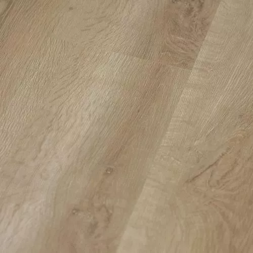  Лиственница Таежная