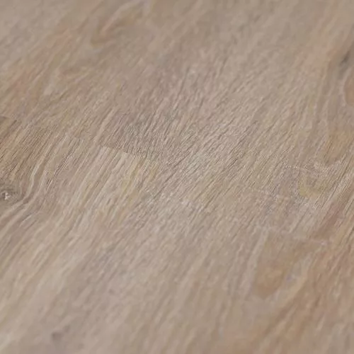  Дуб Монгольский