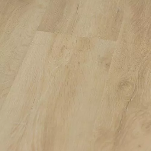  Лиственница Байкальская