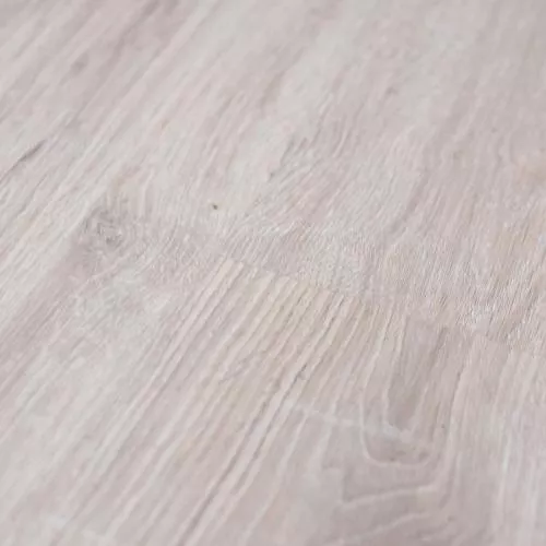  Сосна Зимняя