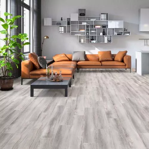 D50027 Дуб Графф