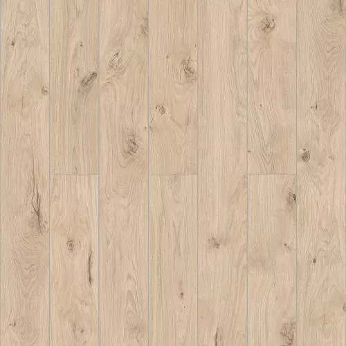 D50747 Дуб Беверстон