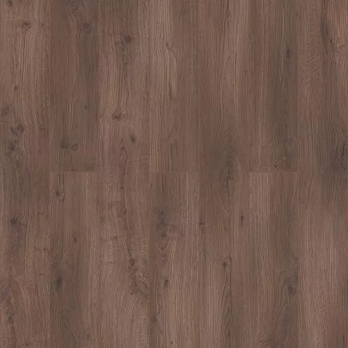 D50897 Дуб Пирмонт